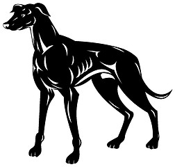 Image showing Greyhound Dog Retro