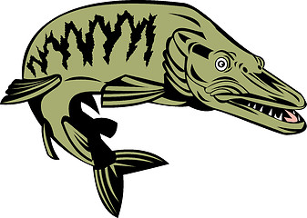 Image showing Muskie Muskellunge Fish Retro