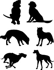 Image showing Canine Silhouettes