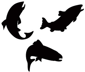 Image showing Trout Fish Silhouette Retro