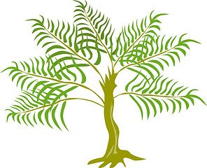 Image showing Fern Tree