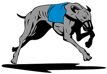 Image showing Greyhound Dog Racing Retro
