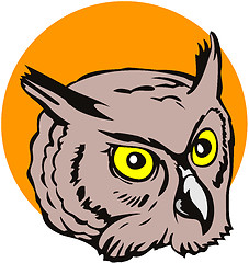 Image showing Owl Head