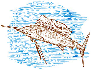 Image showing Sailfish Fish Jumping Sketch