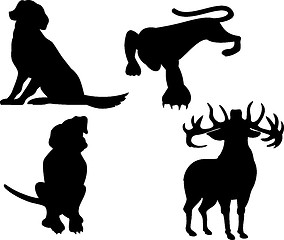 Image showing Wildlife Silhouettes