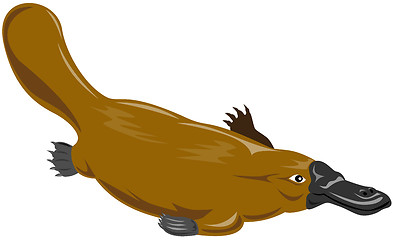 Image showing Platypus Diving