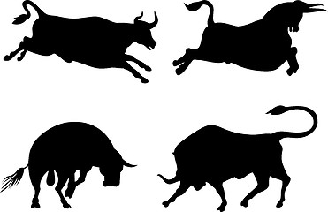 Image showing Cattle Silhouettes