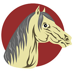 Image showing Horse Head 