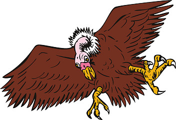 Image showing Vulture Buzzard