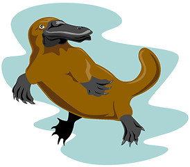 Image showing Platypus Front View