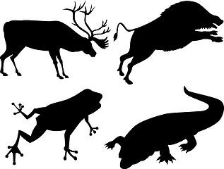 Image showing Wildlife Silhouettes