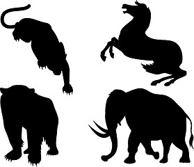 Image showing Wildlife Silhouettes