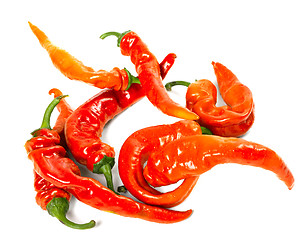 Image showing Red chili peppers with water drops