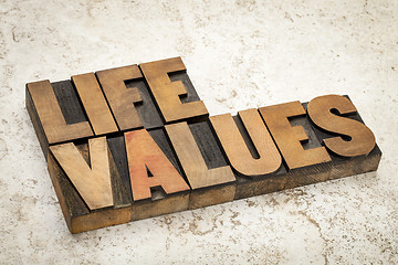 Image showing life values in wood type