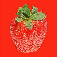 Image showing Strawberries