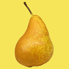 Image showing Pear picture