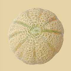 Image showing Melon fruit