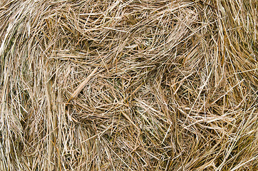 Image showing close-up shot of a large bail of hay