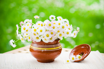 Image showing Bouquet of delicate daisies in a pot at the table  