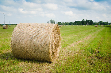 Image showing Round hay bales on a meadow