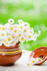 Image showing Bouquet of wild flowers in a pot at the table  