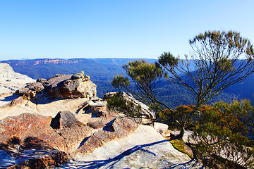 Image showing View from Flat Rock Kings Tableland Wentworth Falls Blue Mountai