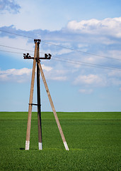 Image showing Concrete pole - power lines in the field