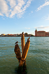 Image showing Venice Italy lagune view with bricole