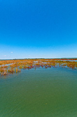 Image showing Venice Italy lagune view