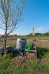 Image showing Venice Burano Mazorbo vineyard