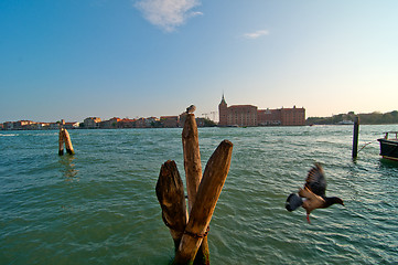 Image showing Venice Italy pittoresque view