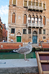 Image showing Venice Italy pittoresque view