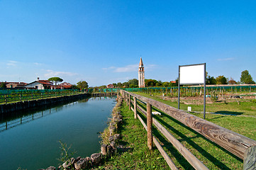 Image showing Venice Burano Mazorbo vineyard