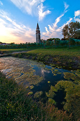 Image showing Venice Burano Mazorbo vineyard