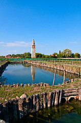 Image showing Venice Burano Mazorbo vineyard