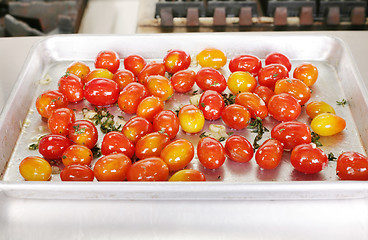 Image showing Many colorful Tomato red and yellow on a tray ready to be served