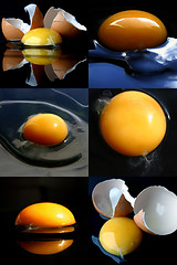 Image showing Broken eggs collage