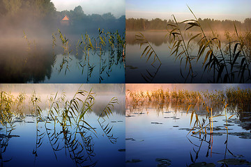 Image showing Early summer morning collage