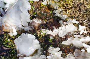 Image showing frozen water drops on the green grass 