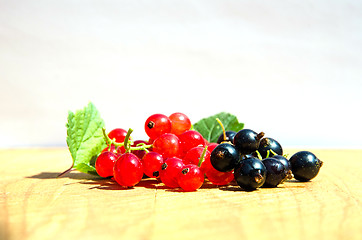 Image showing Red and black currants closeup