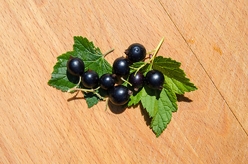 Image showing Black currants