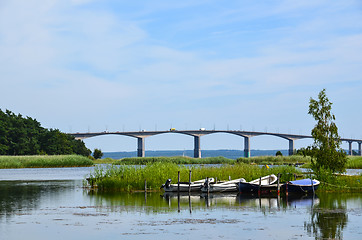 Image showing Rowing boats by bridge