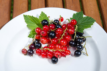 Image showing Red and black currants