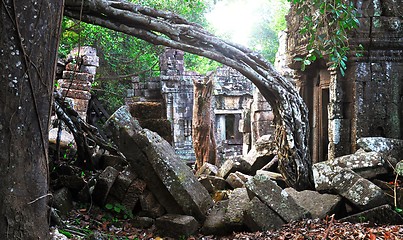 Image showing Jungle temple