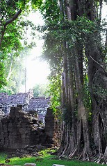 Image showing Jungle temple