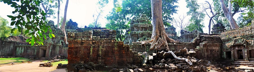 Image showing Ta Prohm, temple of trees