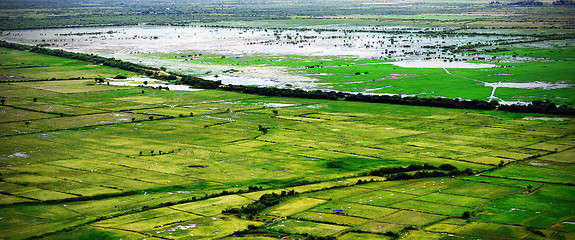 Image showing Rice fields