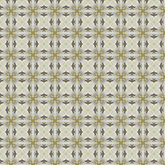 Image showing Vintage Shabby Background with Classy Patterns