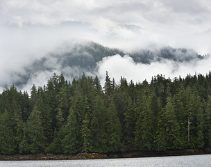 Image showing Mist On The Mountains