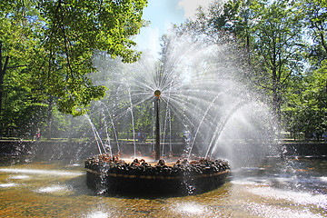 Image showing Fountain in Peterhof sun